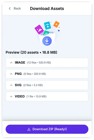 Download assets interface